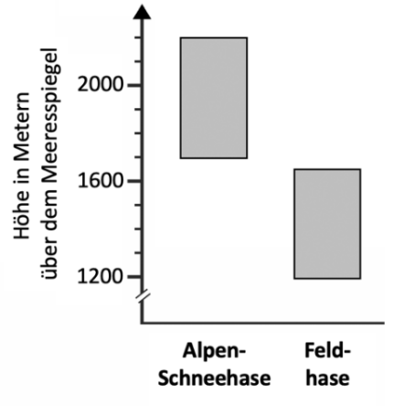 Balkendiagramm zur Höhe über dem Meeresspiegel von Alpen-Schneehasen und Feldhasen.